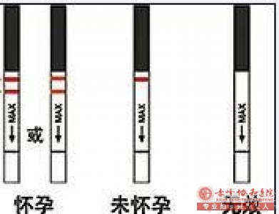 宁德早孕试纸多久能测出来