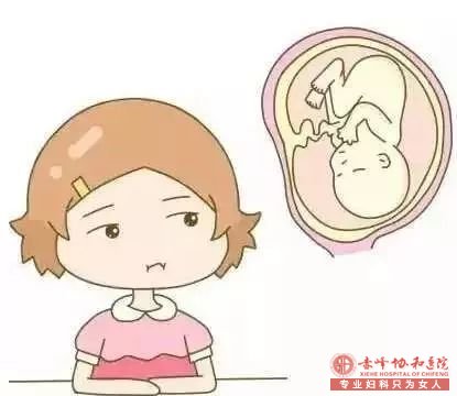 宁德翁牛特旗孕早期有哪些注意事项