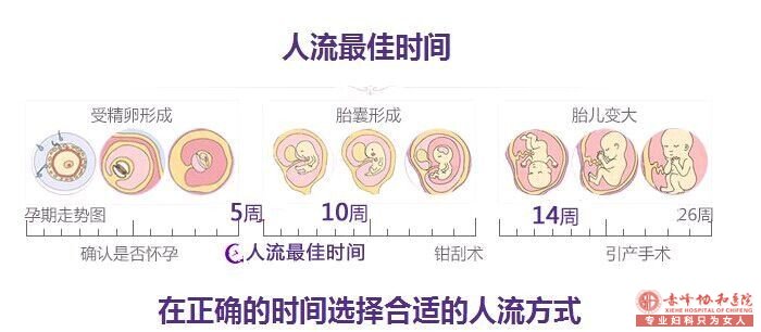 宁德林西县人流的损伤大还是吃避孕药的损伤大?
